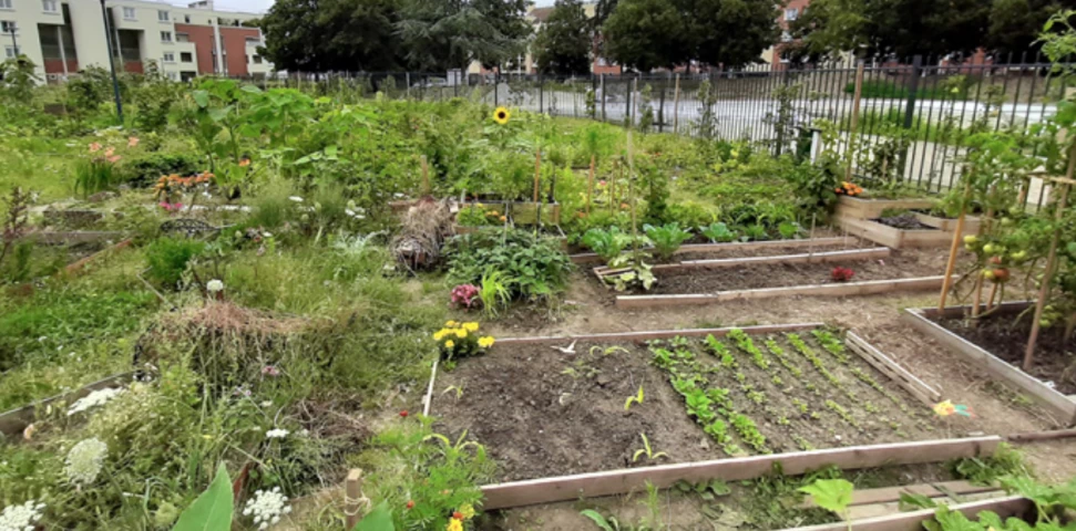 Les Laur Ats Du Concours National Des Jardins Potagers D Voil S News