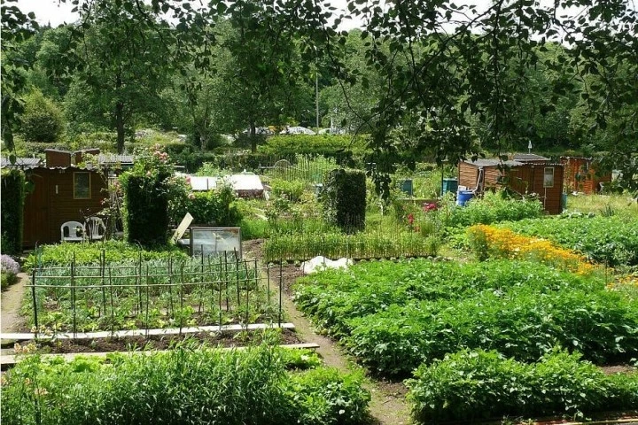 Les Jardins Potagers Tat Des Lieux Et Impacts Sur Les Achats De