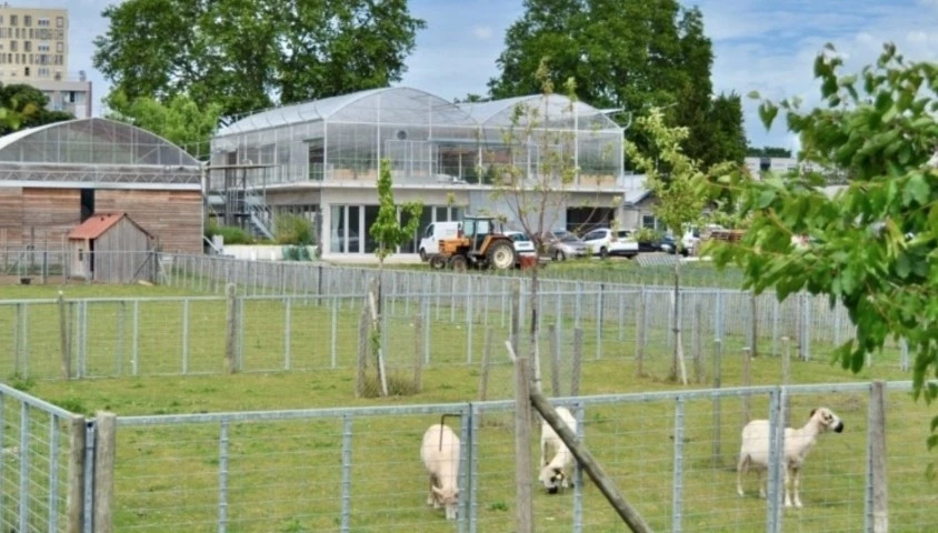 La Ferme Ouverte De Saint Denis S Ouvre Aux V Nements D Entreprise