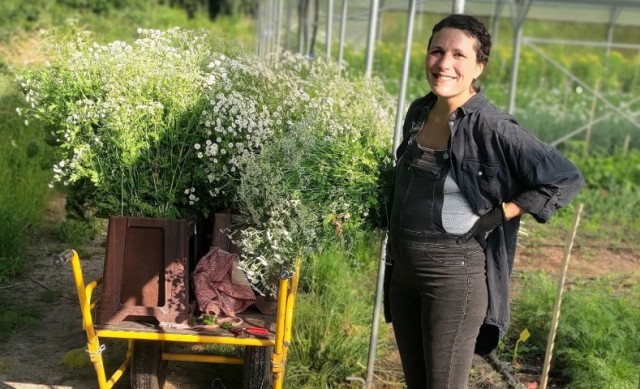 MatricaireFLORICOTTE