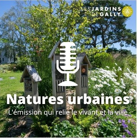 Natures_urbaines_Gally_Radio_Immo_V1_2021_07