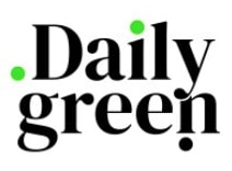 daily green