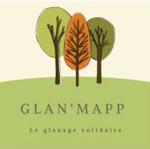 glan-4-mapp