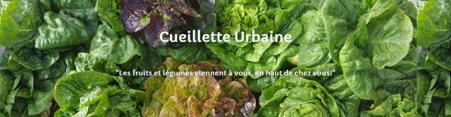 Screenshot_2021-02-19-Cueillette-Urbaine