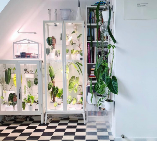 Screenshot_2021-05-19-How-to-Turn-an-Ikea-Cabinet-Into-an-Indoor-Greenhouse1