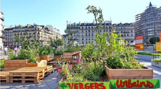 Screenshot-2022-02-04-at-14-21-12-Le-Projet--Vergers-Urbains