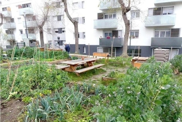 Screenshot-2023-02-02-at-11-49-54-jardins-collectifs--Toulouse--Recherche-Google