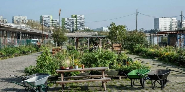 Screenshot-2023-03-30-at-15-29-30-ferme-urbaine-a-berlin--Recherche-Google