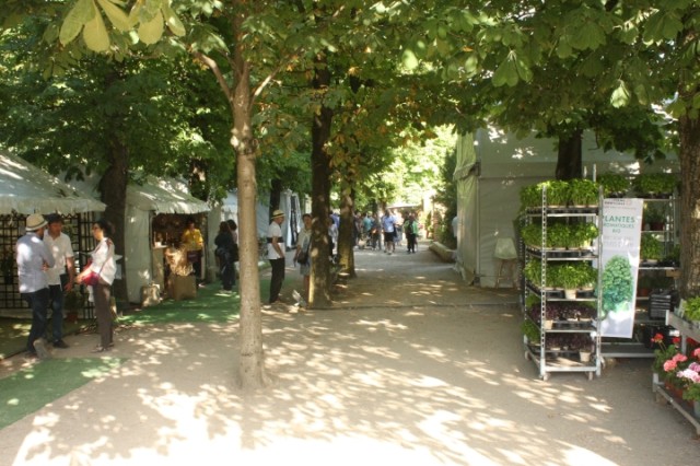 Jardins-Jardin-aux-Tuileries-2022---c-Nicolas-Ginestire-17