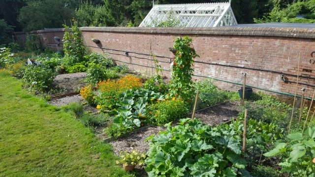 allotments-des-tudiants-_20230906-073403_1