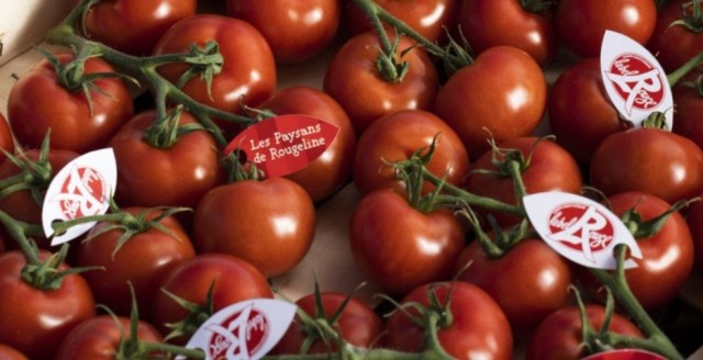 Tomates-Label-Rouge