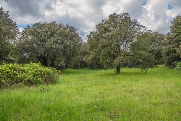 MAE-Natura-2000-Charente---03---05---2016---A.-Orseau-124