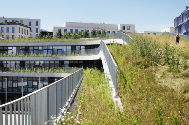 ecole-biodiversite-boulogne-vignette