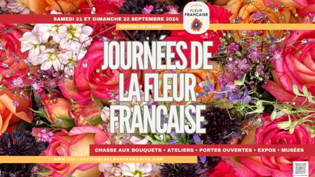 Affiche-paysage-JFF-2024