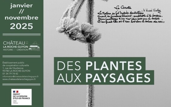 Affiche_exposition_Olivier-Verley_chateau-de-la-Roche-Guyon_Val-dOise_2025court