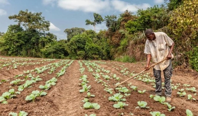 UICNcabinda_common_ground_0