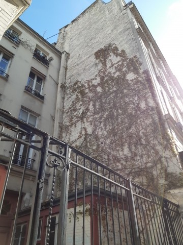 La nature qui s'étale sur des immeubles parisiens