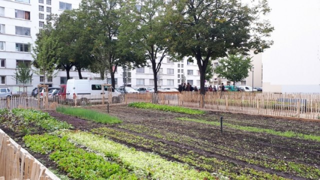 Quels sont les liens entre agriculture urbaine et bâtiments, à Lyon