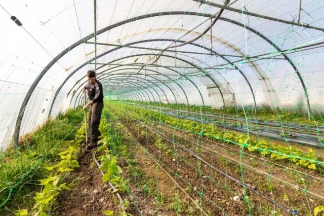 Rencontre autour de l'accessibilité à une alimentation durable