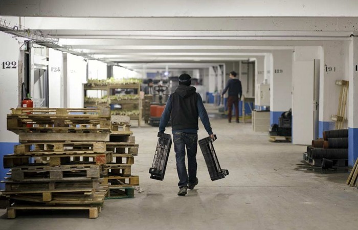 serre-urbaine-4
