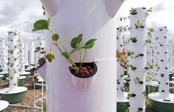 Zélia Pontais - Toit d'Arkema Paris