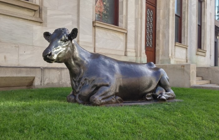 Sylvie Rousseaux - Toronto