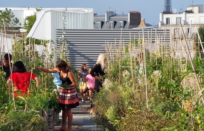 Sophie Hardy - Nature Urbaine