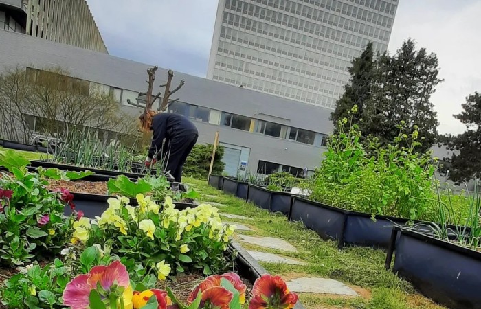 Alexandre Lefebvre - Bruxelles