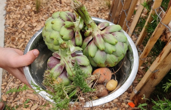 Christophe Buys -  Nantes