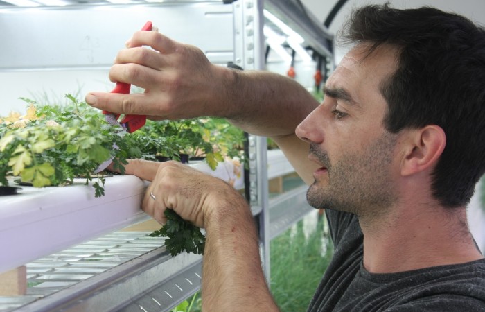 Nicolas Ginestiere - Champerché