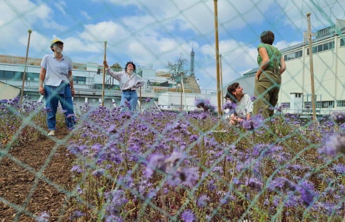 Juliette Thiaudière - Enedis Paris