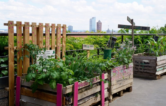 Stéphane Leveque - Lyon