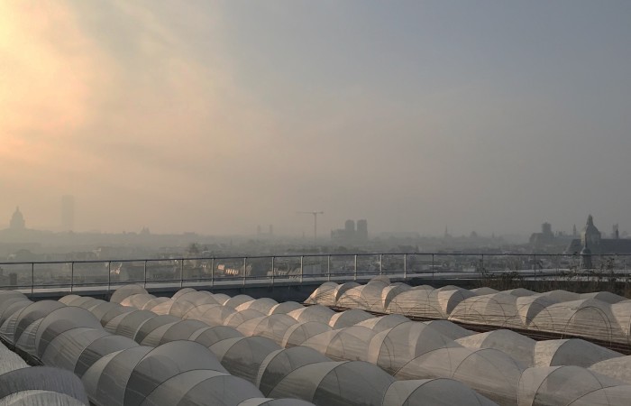 Céline Pré -Topager